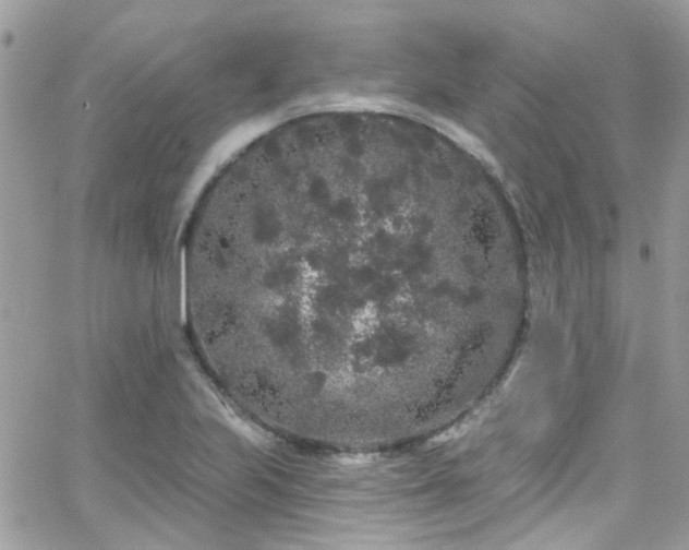 X0000066531223200603241353