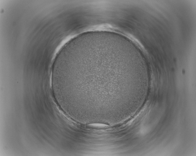 X0000066531224200603241353