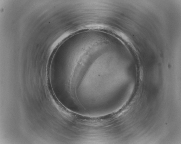 X0000066531229200603241353