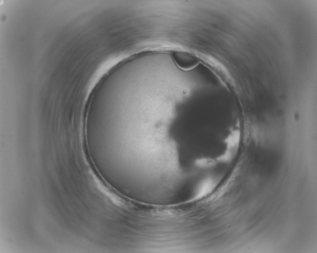 X0000066531231200603241353