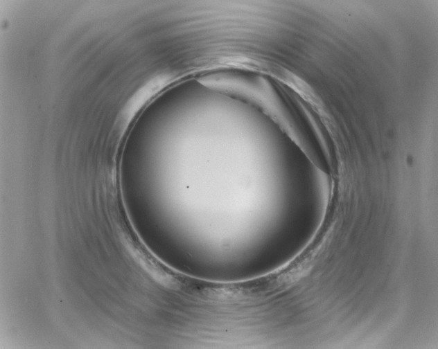 X0000066531234200603241353