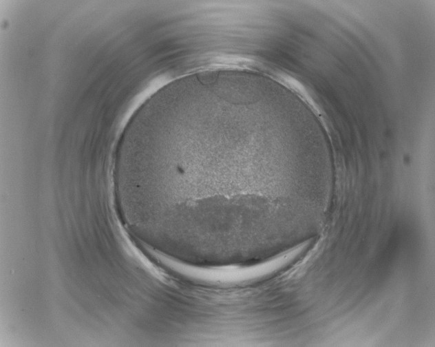 X0000066531235200603241353