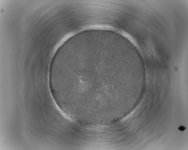 X0000066531237200603241353