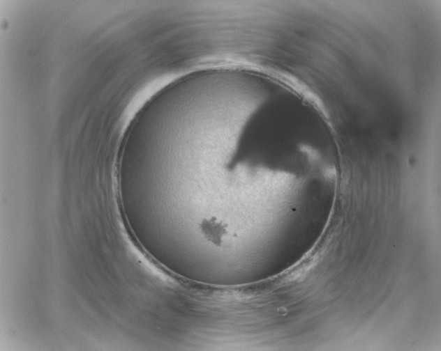 X0000066531239200603241353