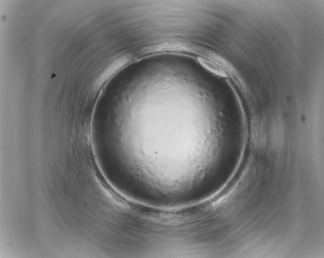 X0000066531241200603241353