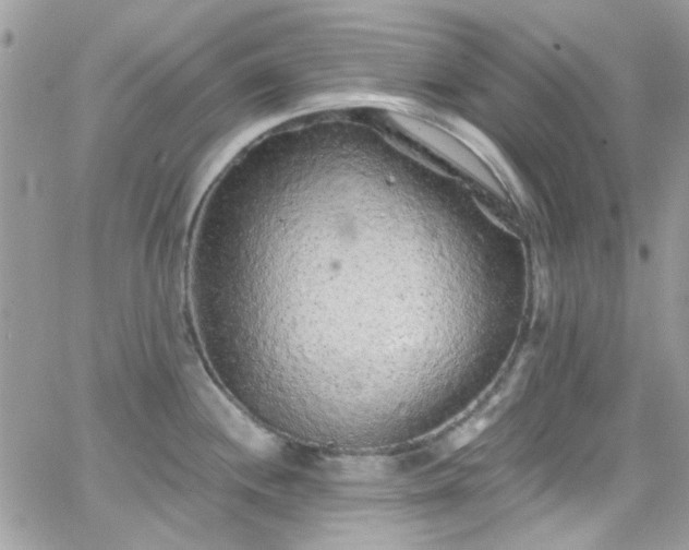 X0000066531244200603241354