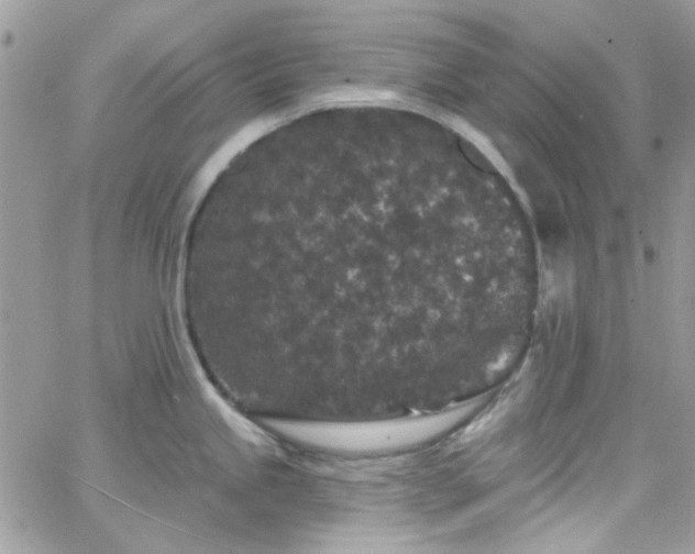 X0000066531245200603241354