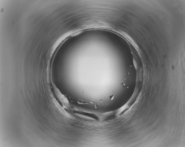 X0000066531246200603241354