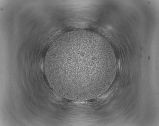 X0000066531251200603241353