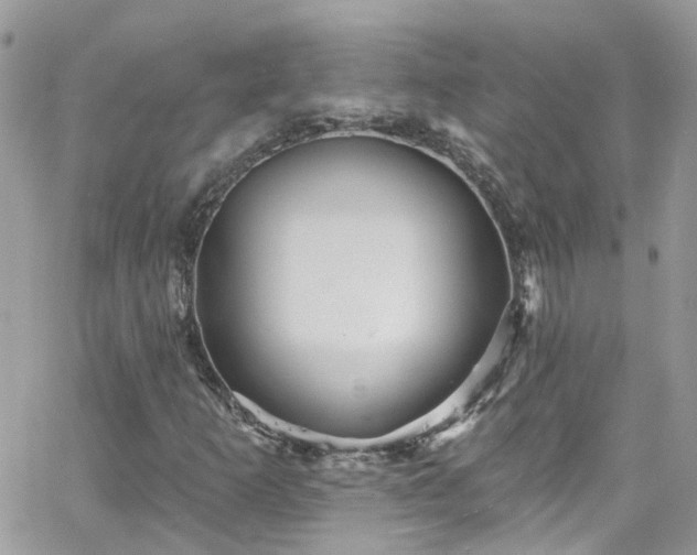 X0000066531253200603241353