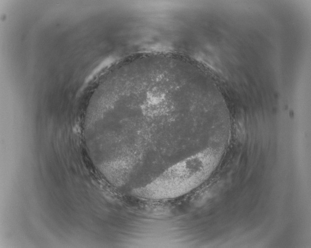 X0000066531254200603241353