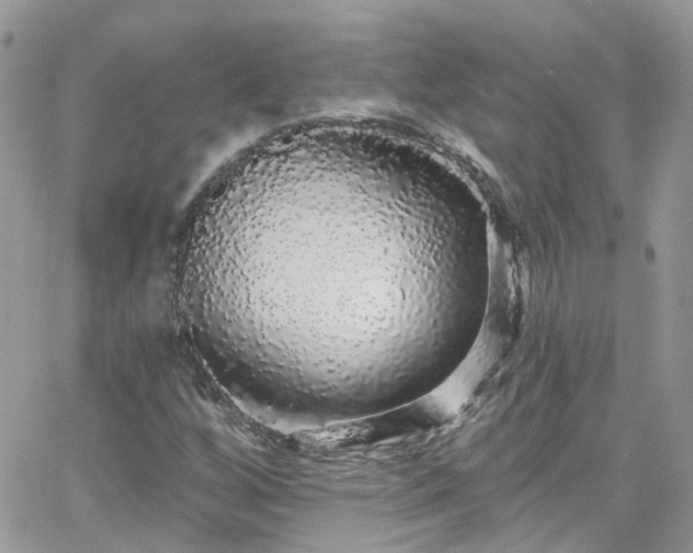 X0000066531256200603241353