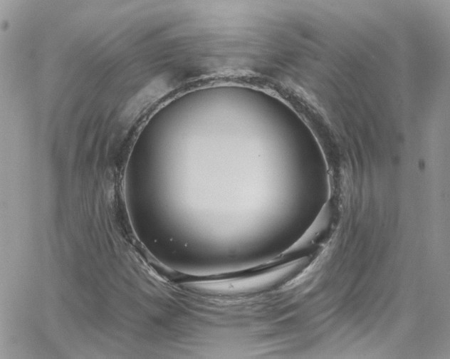 X0000066531257200603241353