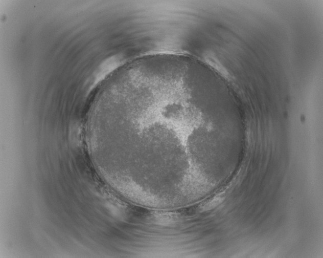 X0000066531258200603241353