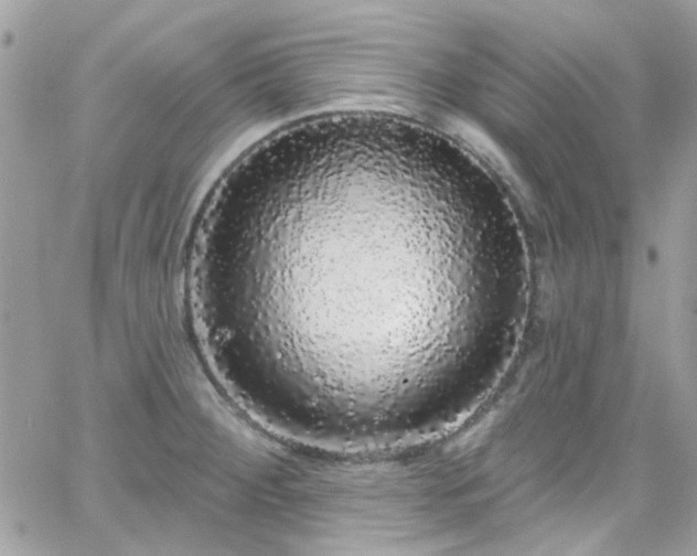 X0000066531284200603241352