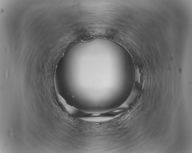 X0000066531345200603241351
