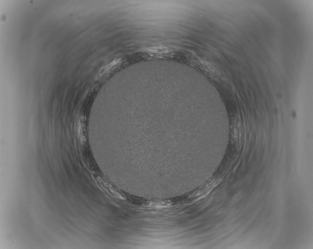 X0000066531346200603241351