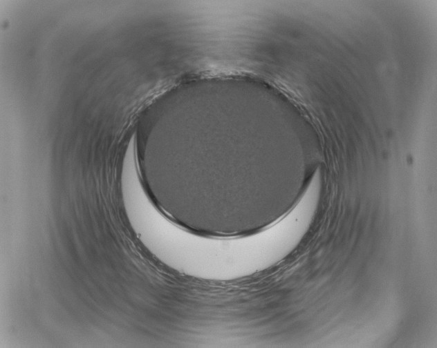 X0000066531348200603241351