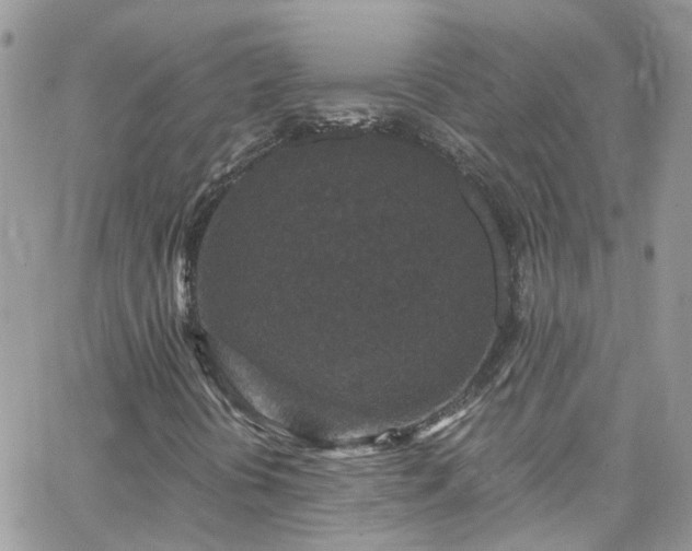 X0000066531394200603241350