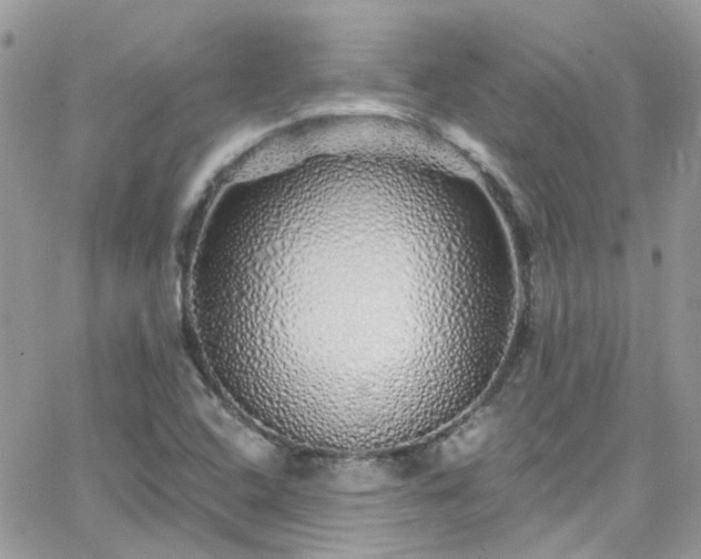 X0000066531408200603241350