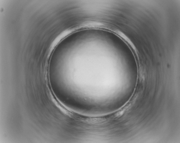 X0000066531437200603241350