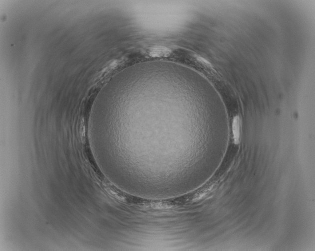 X0000066531443200603241350