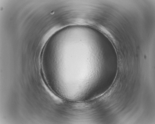 X0000066531479200603241349
