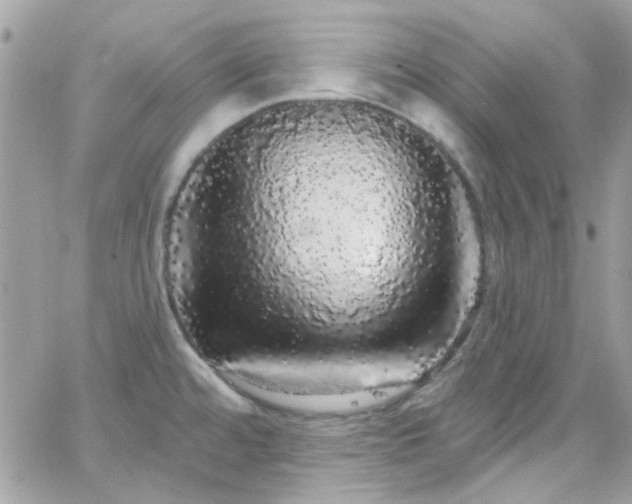 X0000066531480200603241349