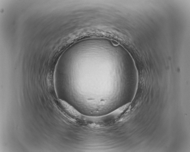 X0000066531490200603241348