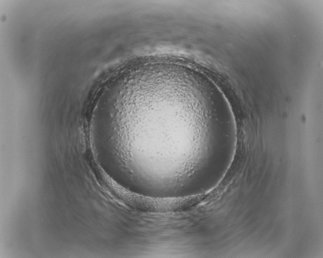 X0000066531493200603241348