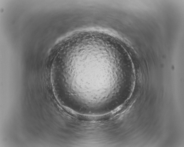 X0000066531494200603241348