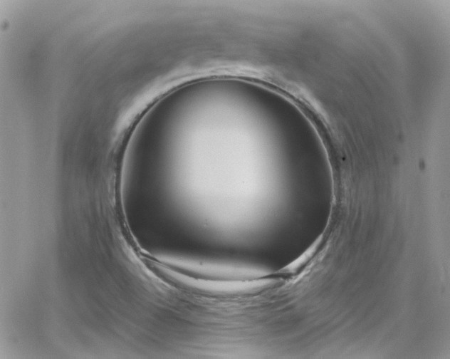 X0000066531504200603241348