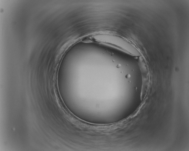 X0000066530001200603311832