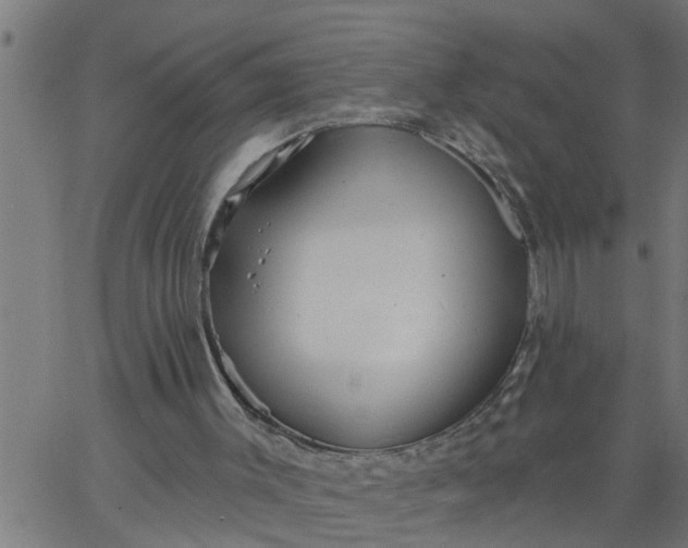 X0000066530003200603311831