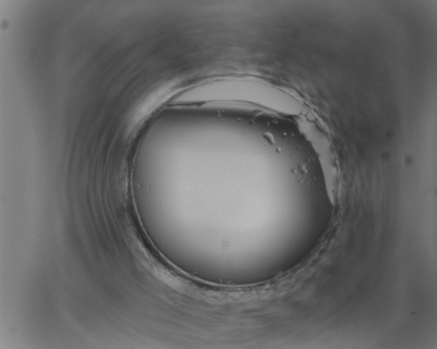 X0000066530005200603311831