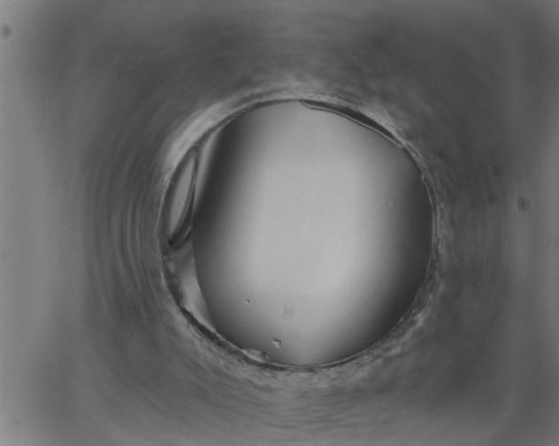 X0000066530007200603311831