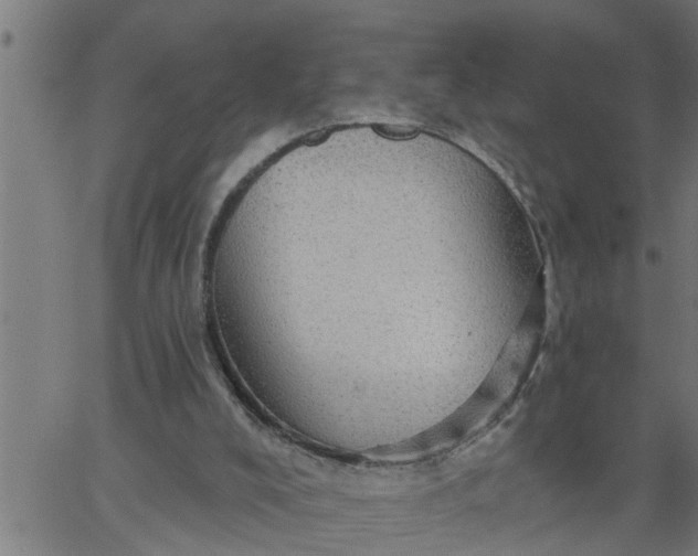 X0000066530008200603311831