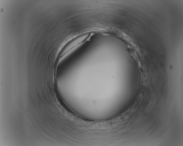 X0000066530011200603311831