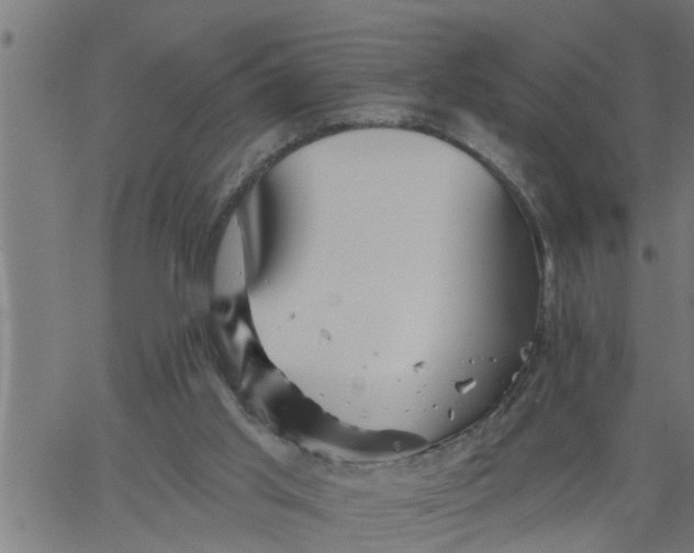 X0000066530013200603311831