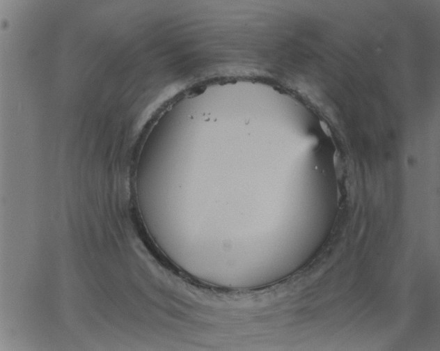 X0000066530015200603311831