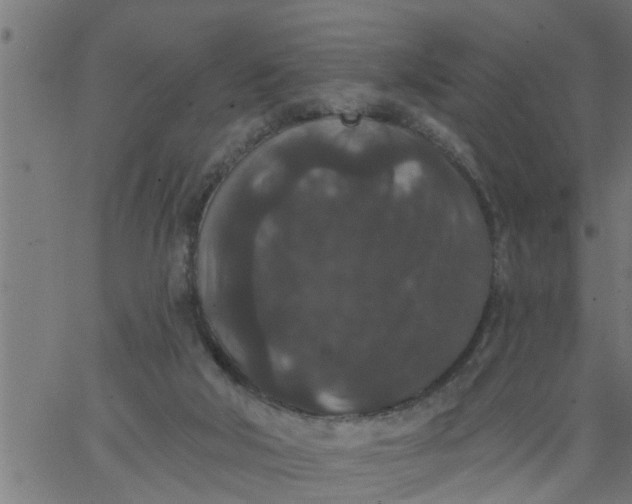 X0000066530018200603311831