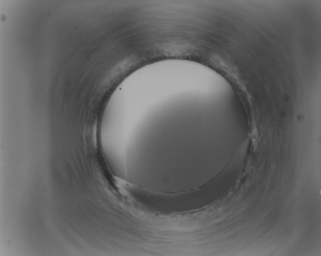 X0000066530019200603311831