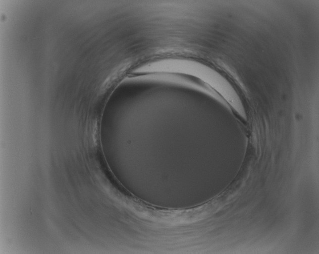 X0000066530023200603311831