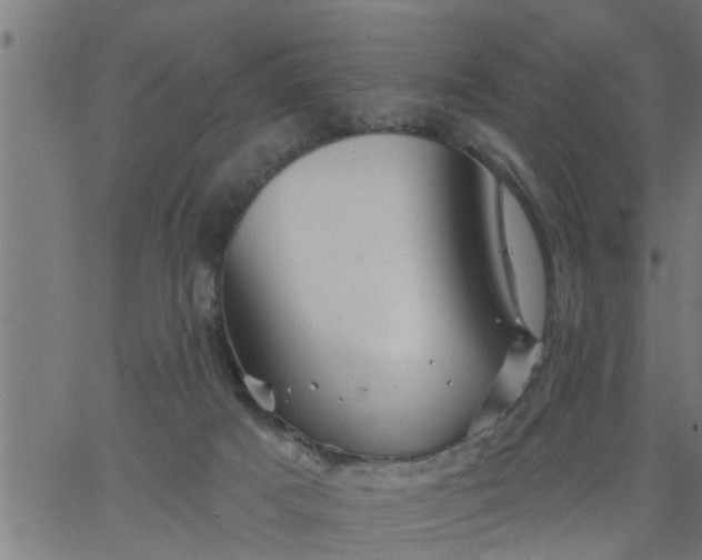 X0000066530025200603311831