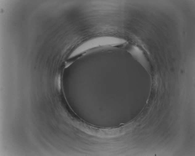 X0000066530027200603311831