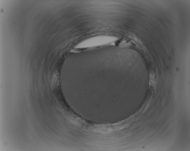 X0000066530029200603311831