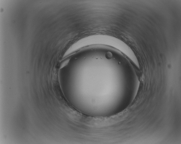 X0000066530037200603311831