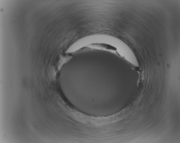 X0000066530039200603311831