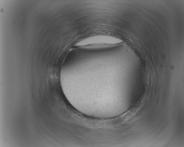 X0000066530040200603311831