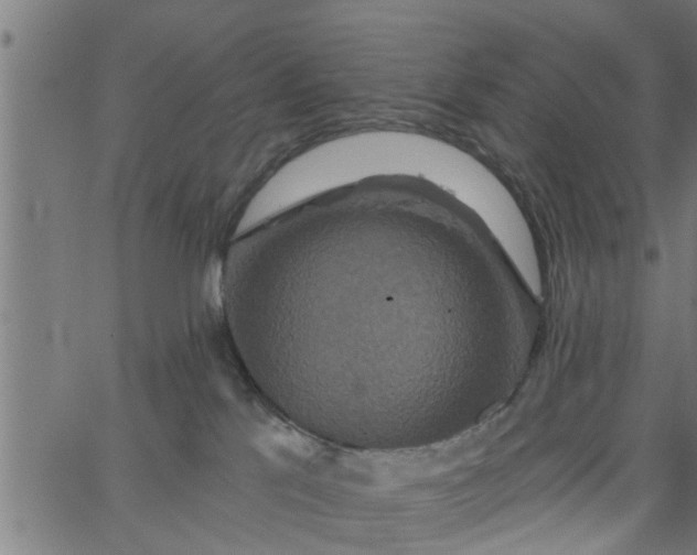 X0000066530041200603311831